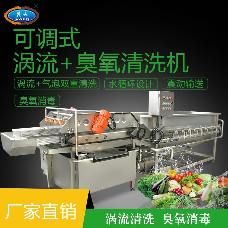 渦流震蕩清洗機 全自動蔬菜清洗機 流水線洗菜機 臭氧氣泡洗菜機