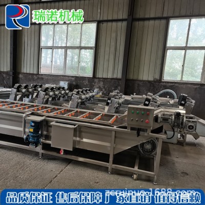 定制氣泡清洗流水線 全自動氣泡噴淋式果蔬清洗機 凈菜加工設備