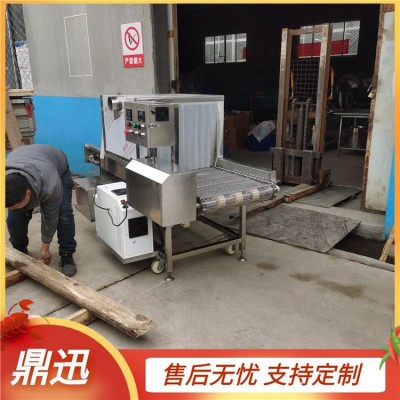 水果箱消毒機(jī) 隧道式冷鏈?zhǔn)称吠獍b消菌設(shè)備 鼎迅制造