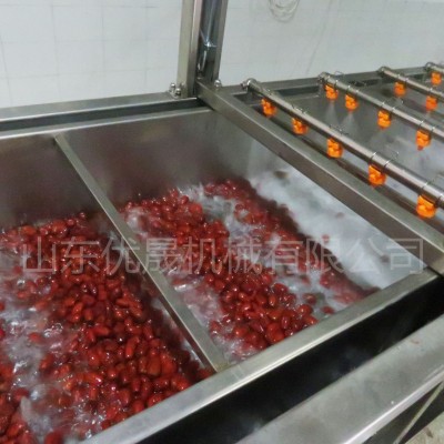全自動果蔬氣泡清洗機 水果清洗機 葡萄干椰棗清洗機
