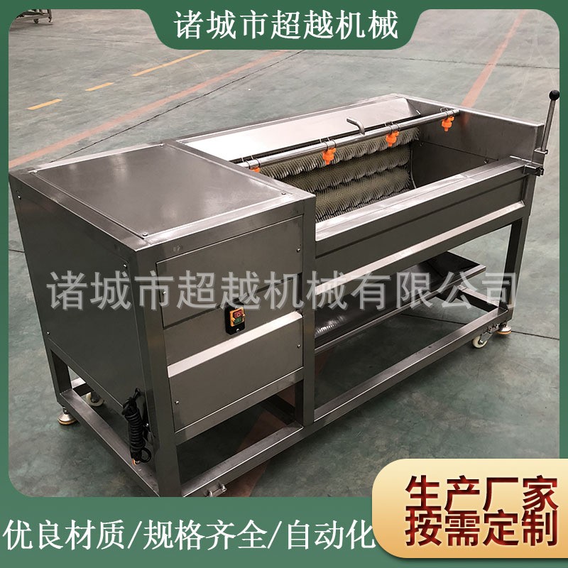 毛刷高壓清洗設備土豆清洗去皮機 毛輥清洗去皮機 果蔬類清洗機
