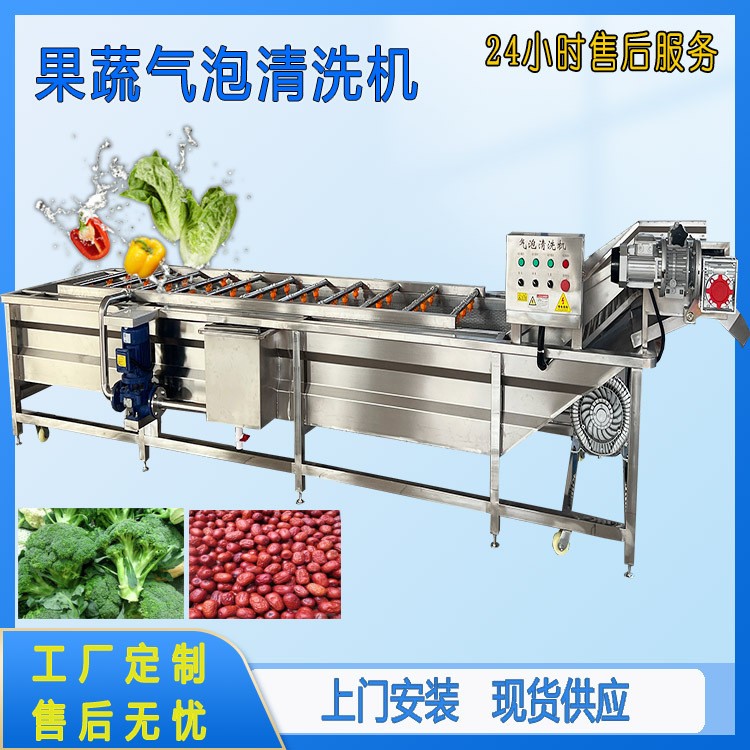 氣泡清洗山野菜加工設(shè)備薺菜翻浪鼓泡清洗機(jī)桑葉清洗機(jī)