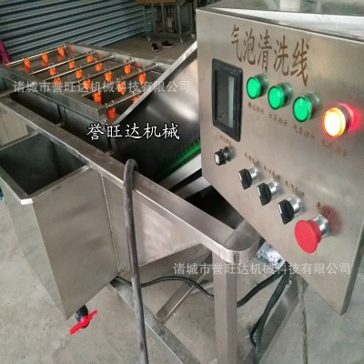蘋果梨子橙子清洗風干設備 山竹去螞蟻氣泡清洗機 高壓噴淋清洗機