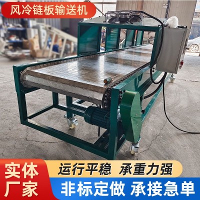 不銹鋼風冷鏈板輸送機食品果蔬冷卻運輸流水線不銹鋼鏈板傳送帶