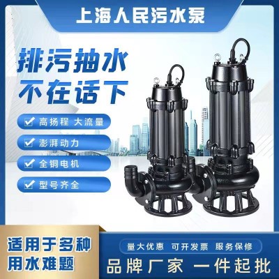 人民WQ污水泵大流量無堵塞排污泵JYWQ地下室工程潛污泵農(nóng)用泥漿泵