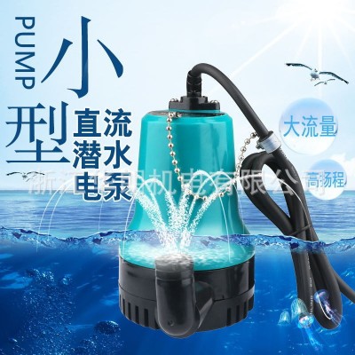 直流水泵家用抽水機農用澆地小型潛水泵船用艙底泵自配電瓶使用