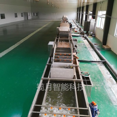 多功能臭氧去農殘洗菜機 預制菜加工設備 果蔬清洗機