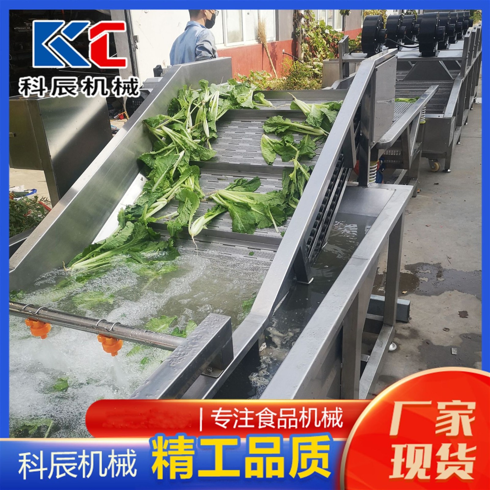 果蔬翻浪式氣泡清洗機(jī) 中藥材氣泡清洗機(jī) 蘋果鴨梨氣泡清洗機(jī)