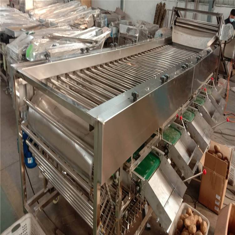 盛德利 果蔬加工設備 圣女果大棗核桃在線分級機