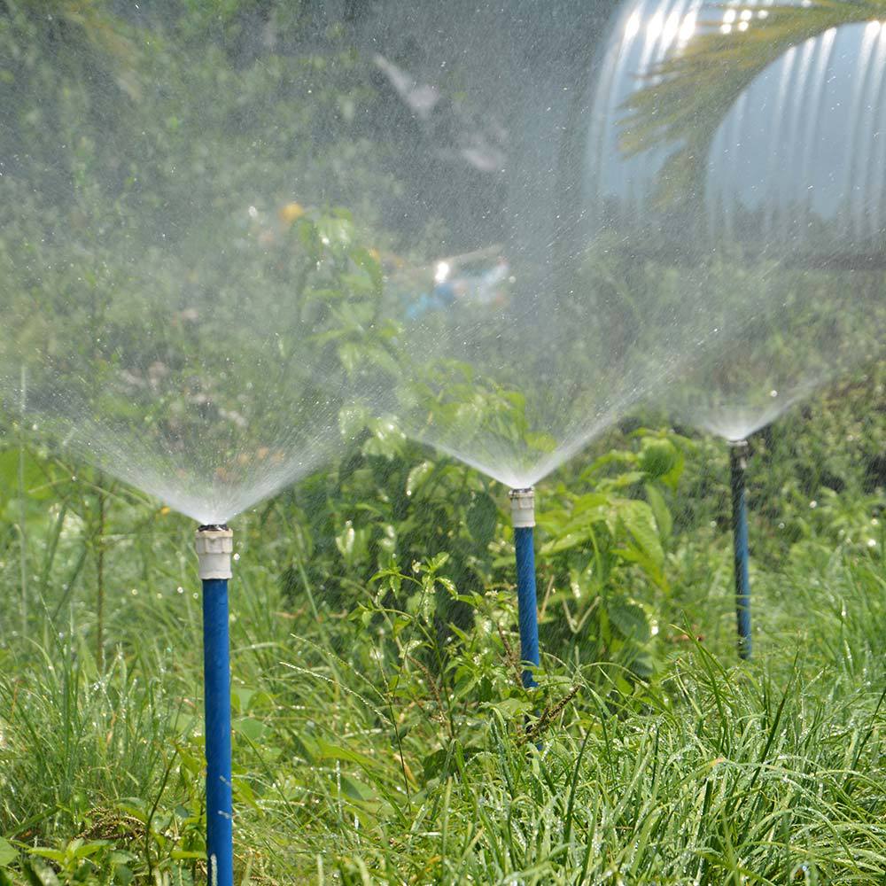 micro-sprinkler