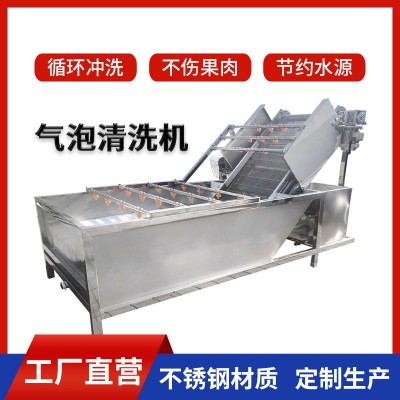 蘋果氣泡式清洗機 大型蘋果氣泡清洗機設(shè)備 不銹鋼清洗蘋果機器