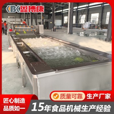 氣泡式果蔬清洗機(jī) 葉類蔬菜連續(xù)式清洗設(shè)備 獼猴桃噴淋水浴洗果機(jī)