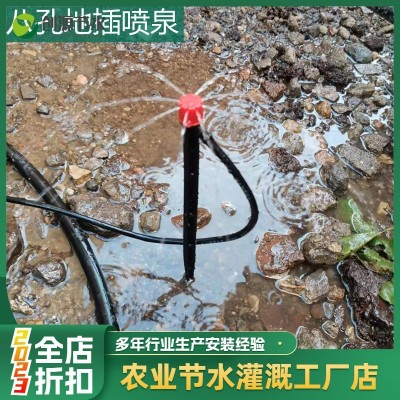 八孔地插式微噴 蔬菜噴頭微噴20公分塑料桿插桿微噴涌泉噴頭