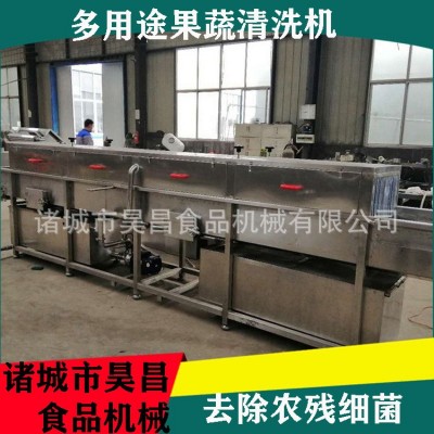 果蔬清洗機商用 爆款中藥材高壓噴淋旋流氣泡 多功能節能高效清洗