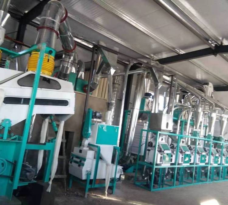 中小型面粉加工成套機械全自動小麥磨粉機械設備流水線