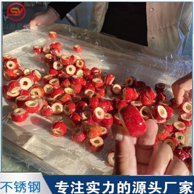 凍干冰糖葫蘆裹糖機(jī) 全自動上糖漿機(jī)設(shè)備 嘎嘣脆空心山楂上糖機(jī)