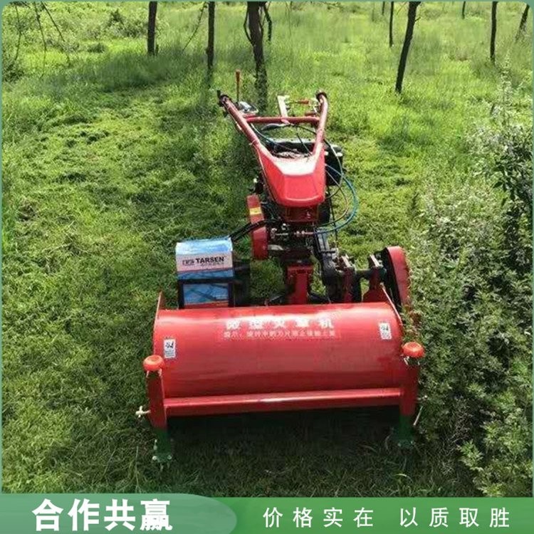 農(nóng)用開荒種植碎草機 汽油柴油動力除草機 手扶自走式前置滅草機