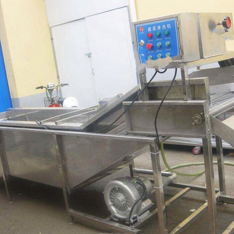 高壓氣泡水果清洗設(shè)備 商用洗菜機食品去污清洗機