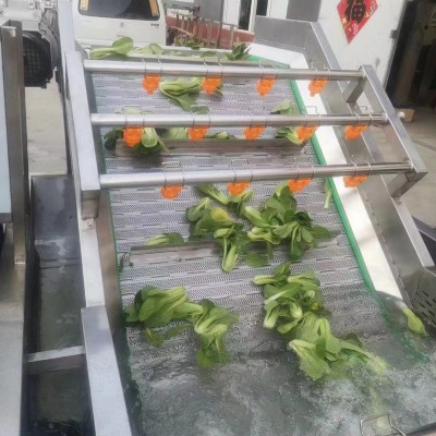 全自動(dòng)果蔬海鮮氣泡清洗機(jī) 噴淋式不銹鋼清洗設(shè)備 預(yù)制菜加工設(shè)備