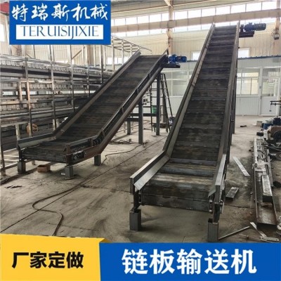 定做鏈板提升機 不銹鋼材質可沖孔 清洗線必備板鏈爬坡機 特瑞斯