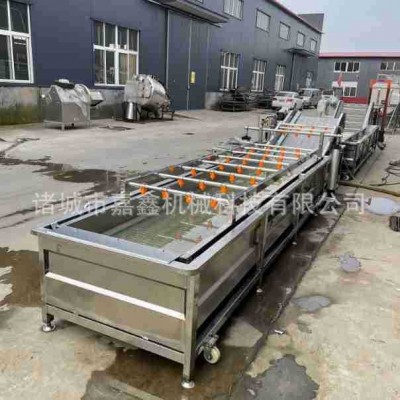 全自動海帶清洗機 裙帶菜氣泡翻滾清洗設備 海白菜洗菜清洗流水線