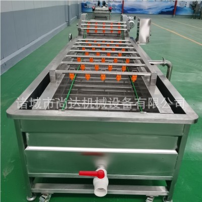 水果類氣泡清洗機 柑橘橙子大產能氣泡清洗風干流水線 氣泡清洗機