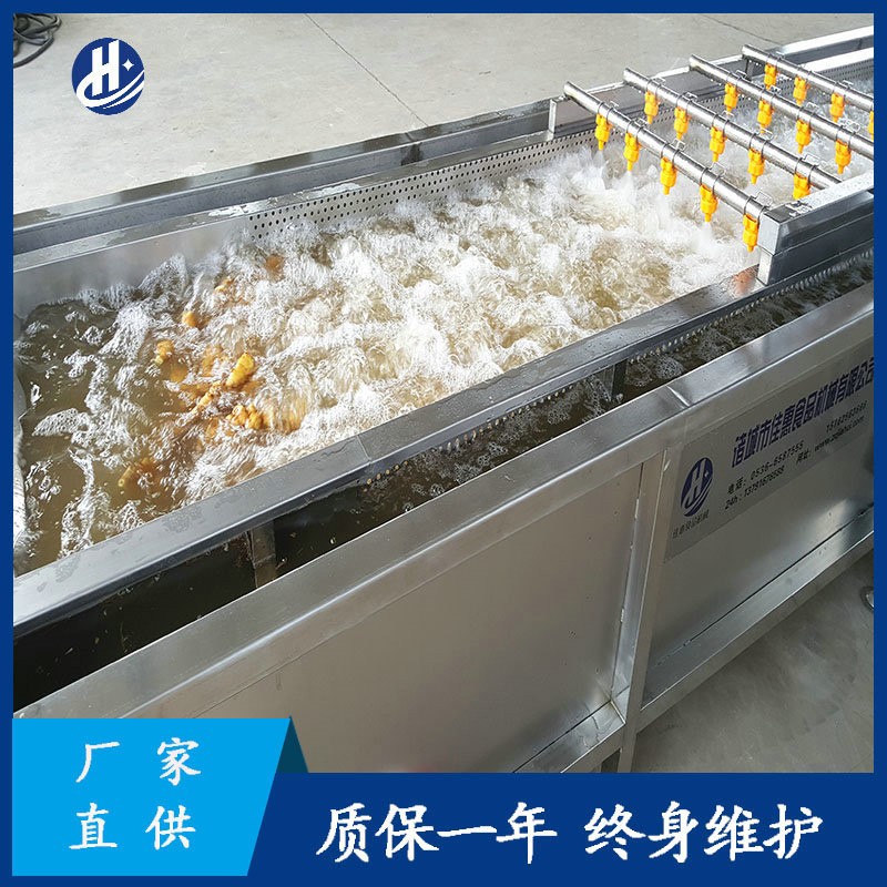 大型自動化洗姜機器 平行式高壓噴淋清洗機 鮮姜姜芽生姜清洗設備