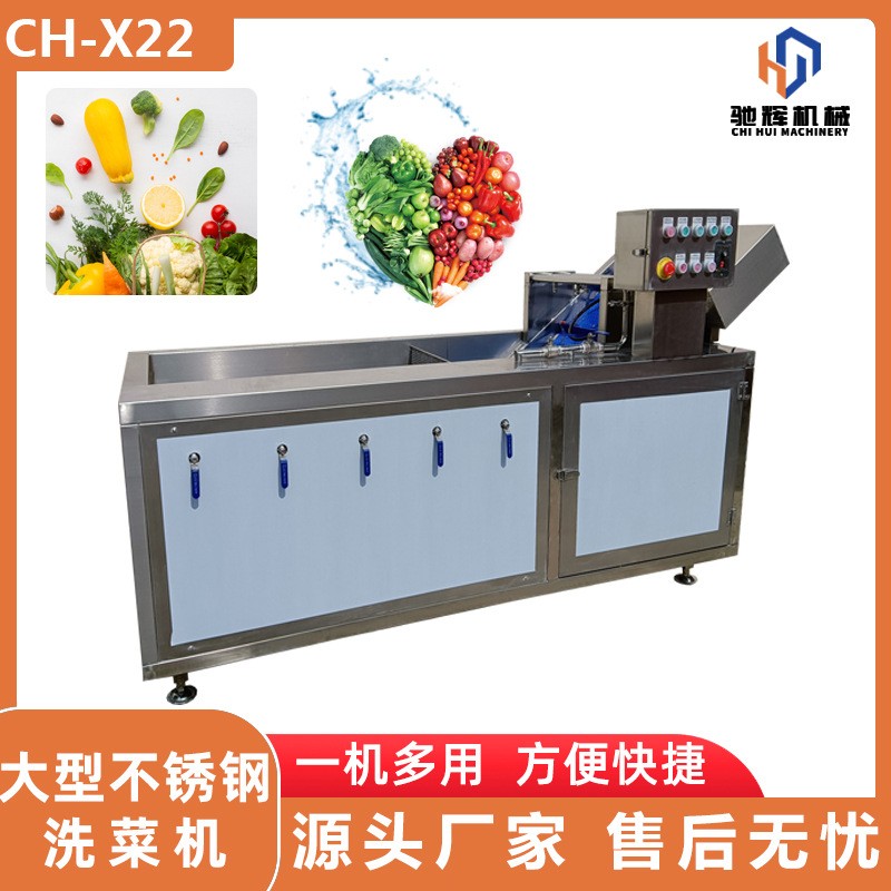 廣東葉菜蔬菜清洗機廠家 大棗灰棗氣泡噴淋雙重清洗機 清洗風干線