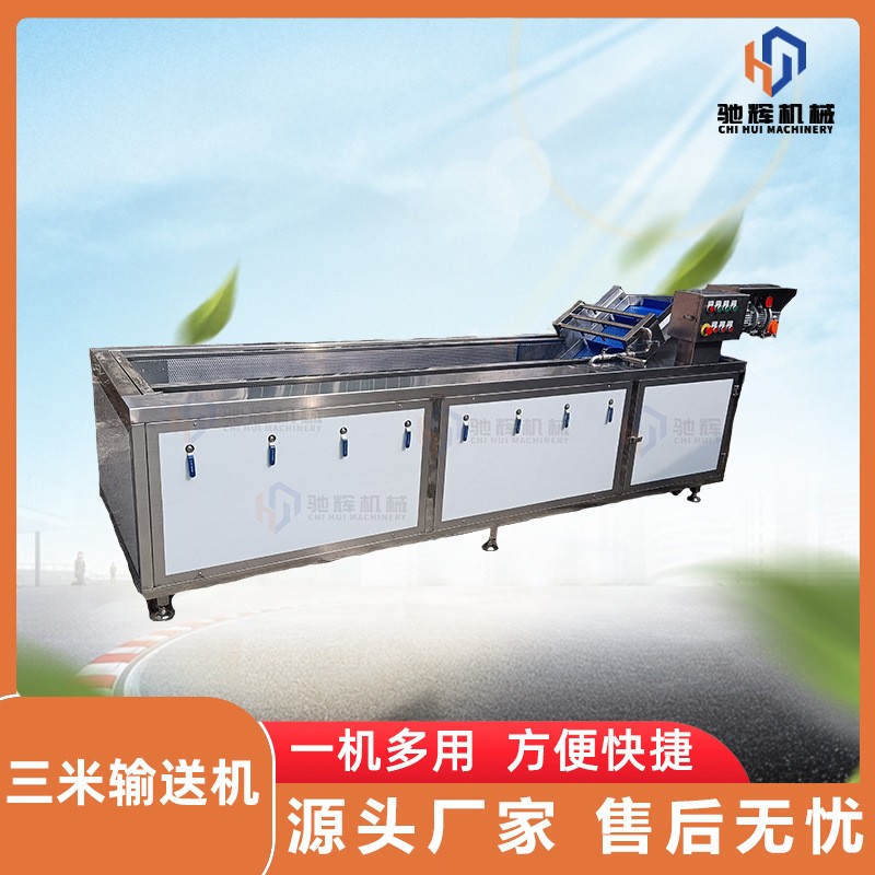 馳輝機械大型無損果蔬清洗機 連續式菠蘿清洗機 柚子氣泡清洗機
