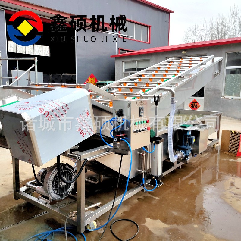 廠家供應(yīng)氣泡清洗機(jī) 不銹鋼材質(zhì)果蔬清洗線 彩椒金針菇清洗機(jī)設(shè)備
