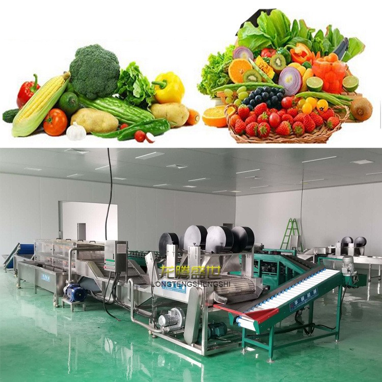 廠家定做生產(chǎn)各種水果清洗線蘋(píng)果清洗風(fēng)干分選流水線自動(dòng)化