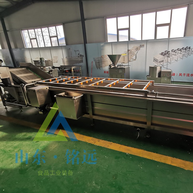 全自動(dòng)梅干菜氣泡清洗機(jī)速凍玉米氣泡清洗機(jī)鮮花生去泥氣泡清洗機(jī)