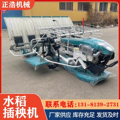汽油款小型水稻插秧機 水稻秧苗插秧種植機 正浩
