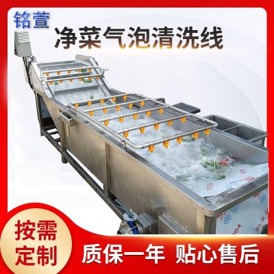 氣浴式海鮮果蔬清洗設(shè)備 中藥材氣泡清洗機 海帶翻浪式氣泡清洗機