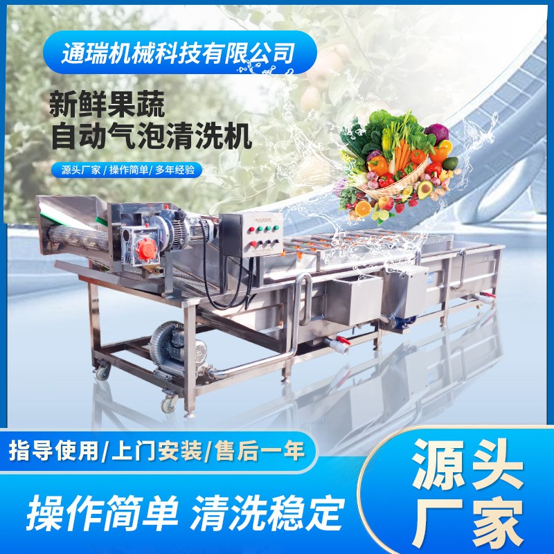 多功能氣泡清洗機(jī) 商用楊梅蔓越莓清洗機(jī)器 全自動噴淋氣泡清洗機(jī)
