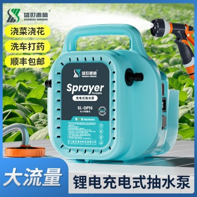 智能雙泵手提噴霧器批發(fā)廠家直供農(nóng)用果樹打藥機(jī)高壓新款抽水機(jī)