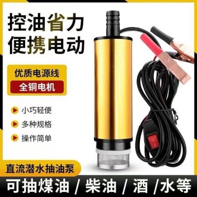 電動(dòng)抽油泵12V/24伏小型潛水泵抽柴油尿素抽油神器加油泵抽水機(jī)