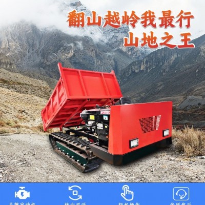 現(xiàn)貨小型履帶運(yùn)輸車廠家多功能爬山虎果園搬運(yùn)履帶運(yùn)輸車工程裝卸