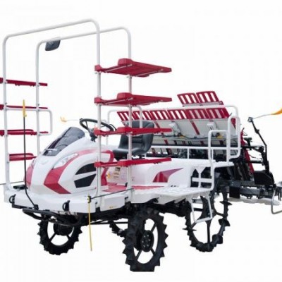 洋馬YR80D插秧機