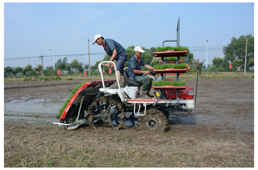 e8f512bfa7a46f413157e0de3a5ca6a e8f512bfa7a46f413157e0de3a5ca6a.png