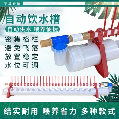 雞鴨鵝自動喂水器喝水水槽雞飲水器養殖雞用自動飲水槽鴨子喝水槽