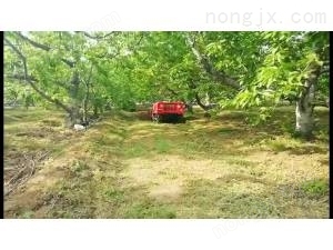 頂呱呱1GZL-107遙控管理機櫻桃園旋耕視頻