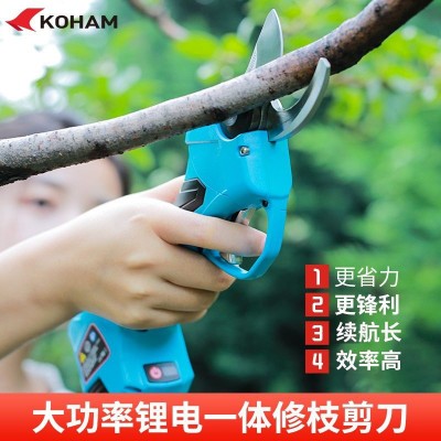 嘉航電動修枝剪2.5公分兩電一充果樹剪園林修枝剪家用綠化鋰電剪