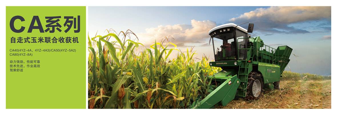 2-新綜合樣本合訂本(谷王)-16_01