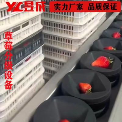 重量糖度 草莓分選機(jī) 西瓜分級機(jī) 水果分選設(shè)備 自動選果機(jī)