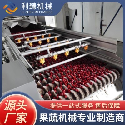 全自動 紅棗枸杞醬生產線 整套 果醬加工生產線設備