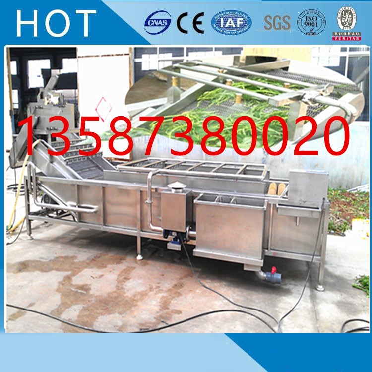 新鮮蔬菜清洗風干包裝線中央廚房流水線薺菜青菜生姜凈菜線