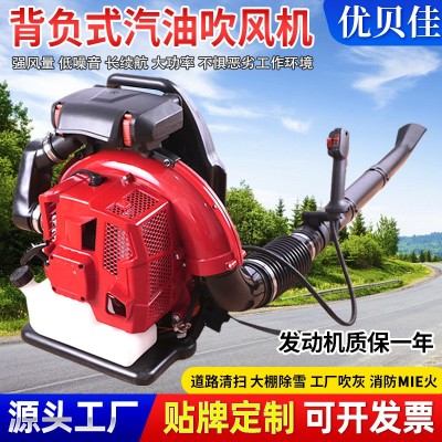 背負(fù)式汽油吹風(fēng)機(jī)廠(chǎng)家道路清掃風(fēng)力滅火機(jī)大棚吹雪機(jī)落葉清理機(jī)