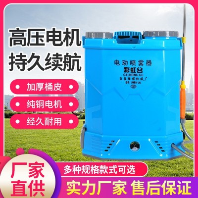 電動(dòng)噴霧器農(nóng)用智能充電新款家用打藥機(jī)噴霧壺噴灑消毒鋰電加厚