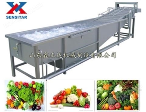 蔬菜清洗機(jī)